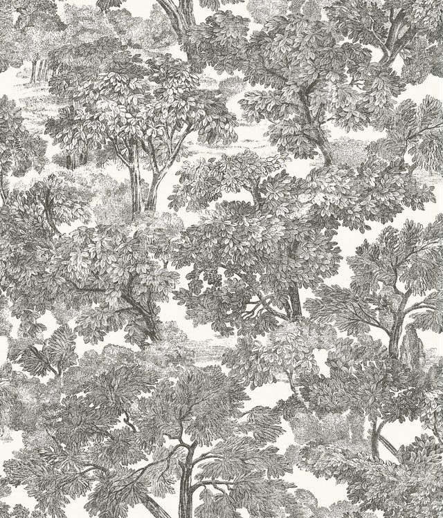 Spinney Black Toile Wallpaper with Hand-Drawn Vintage Woodland Pattern - Chesapeake 3115-12542