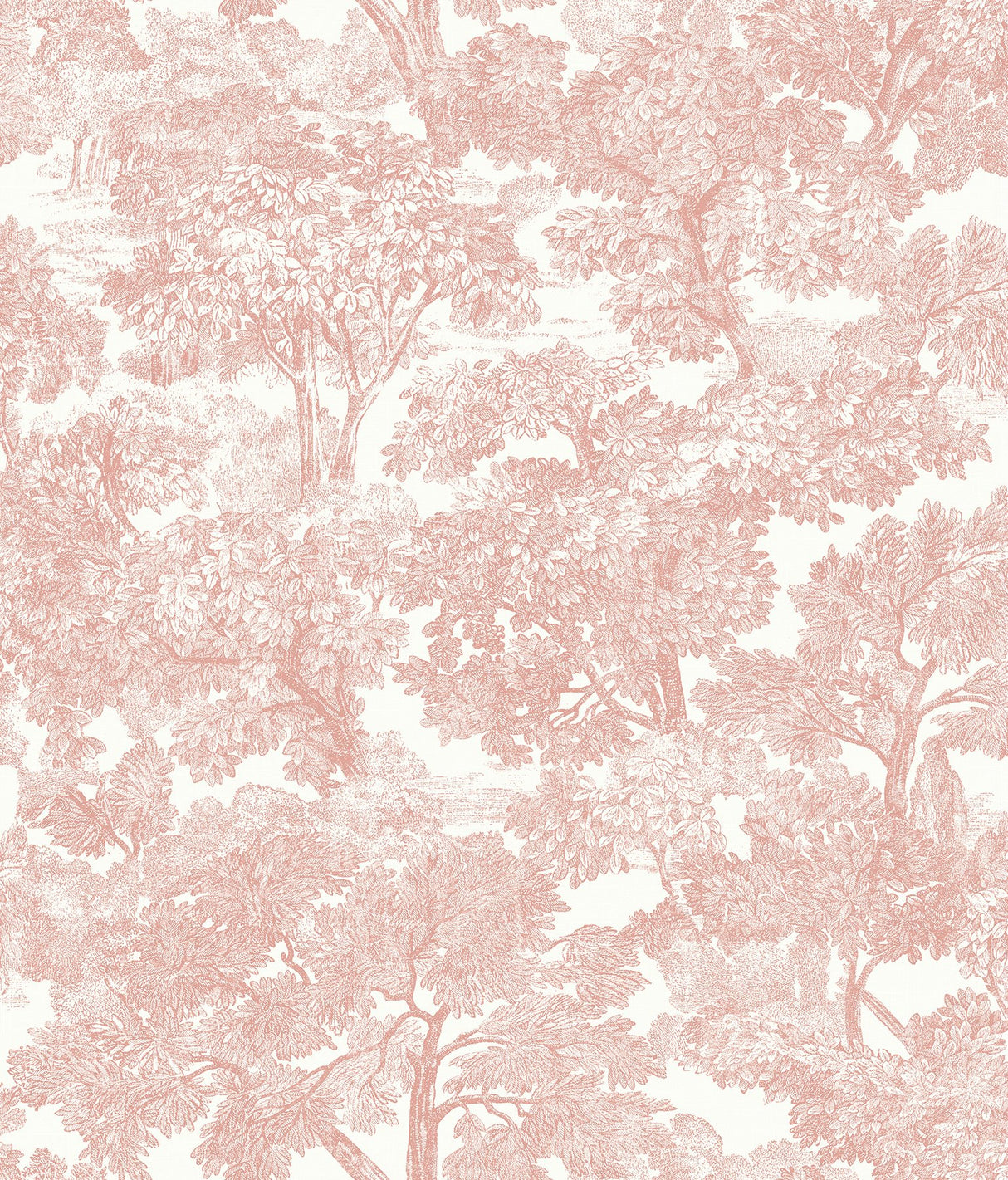 Spinney Rose Rose Toile Wallpaper with Farmhouse Toile Pattern - Chesapeake 3115-12544