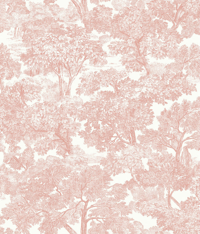 Spinney Rose Rose Toile Wallpaper with Farmhouse Toile Pattern - Chesapeake 3115-12544