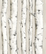 Pioneer Off White Birch Tree Wallpaper with Hand-Painted Tree Motif - Chesapeake 3118-12601