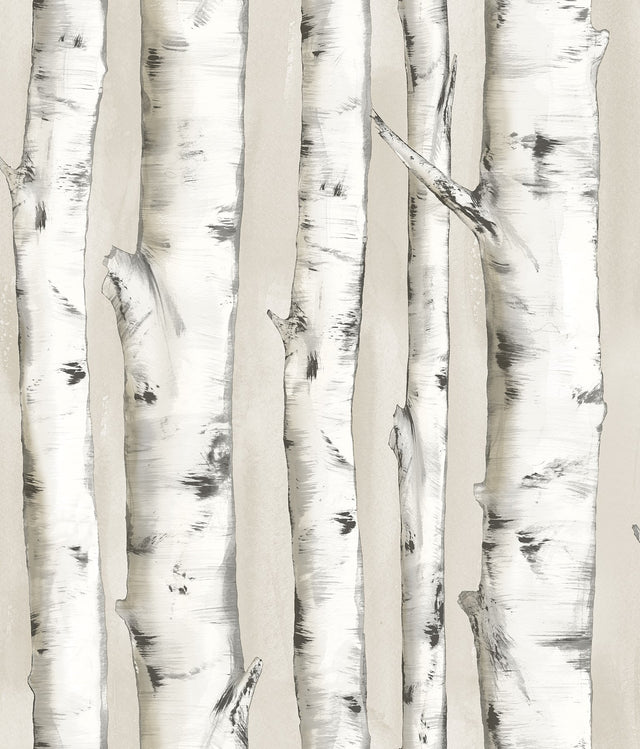 Pioneer Off White Birch Tree Wallpaper with Hand-Painted Tree Motif - Chesapeake 3118-12601