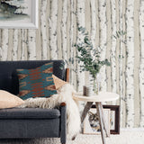 Pioneer Off White Birch Tree Wallpaper with Hand-Painted Tree Motif - Chesapeake 3118-12601