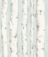 Pioneer Light Blue Birch Tree Wallpaper with Hand-Painted Forest Motif - Chesapeake 3118-12602