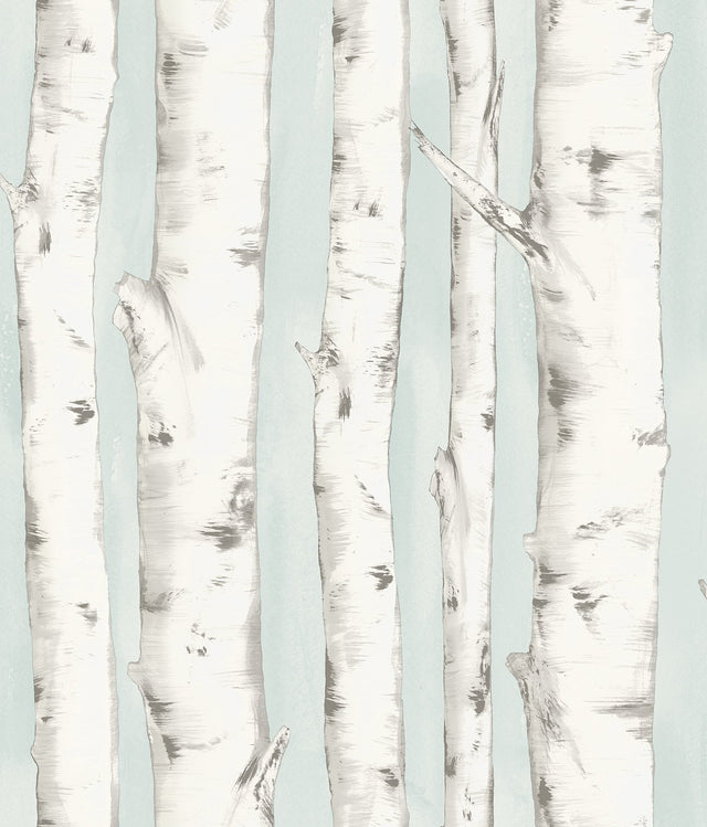 Pioneer Light Blue Birch Tree Wallpaper with Hand-Painted Forest Motif - Chesapeake 3118-12602