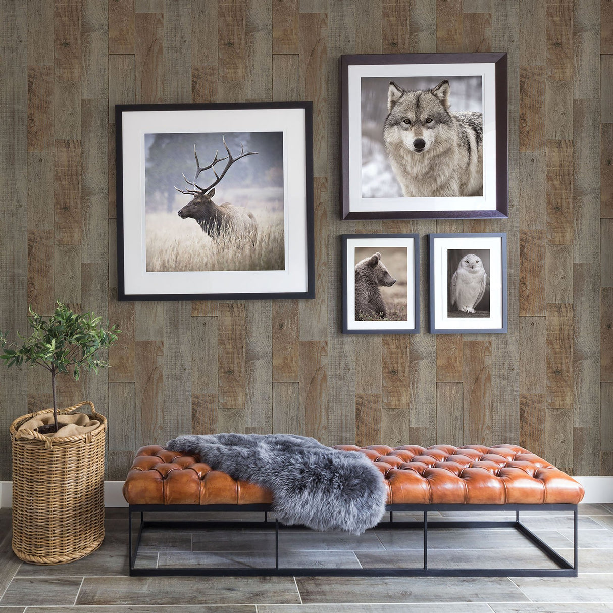 Chebacco Brown Wooden Planks Wallpaper with Rustic Faux Wood Plank Pattern - Chesapeake 3118-12693
