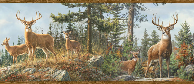 Whitetail Crest Multicolor Forest Wallpaper Border with Deer Scene - Chesapeake 3118-48463B