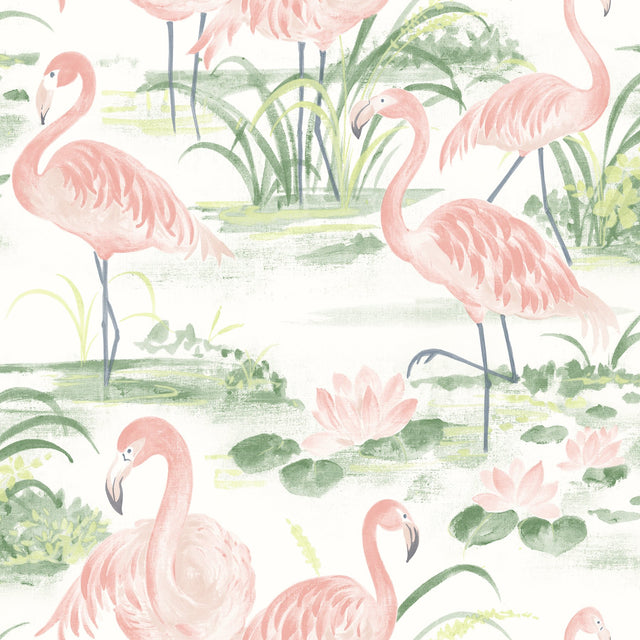 Everglades Coral Flamingos Wallpaper with Whimsical Coastal Flamingo Pattern - Chesapeake 3120-13601