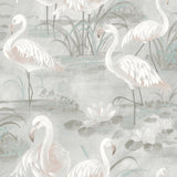 Everglades Grey Flamingos Wallpaper with Whimsical Coastal Flamingo Pattern - Chesapeake 3120-13603