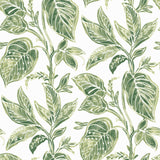 Mangrove Green Botanical Wallpaper with Hand-Painted Leaf Motif - Chesapeake 3120-13621