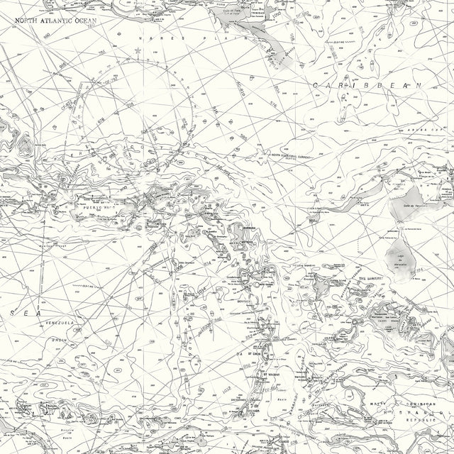 Charts Black Map Wallpaper with Vintage Navigational Map Pattern - Chesapeake 3120-16179