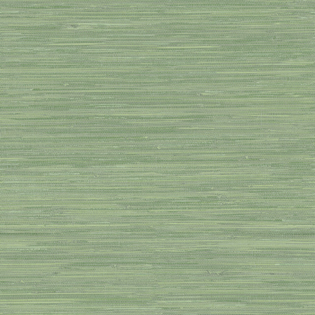 Waverly Green Faux Grasscloth Wallpaper with Traditional Abstract Pattern - Chesapeake 3120-256017