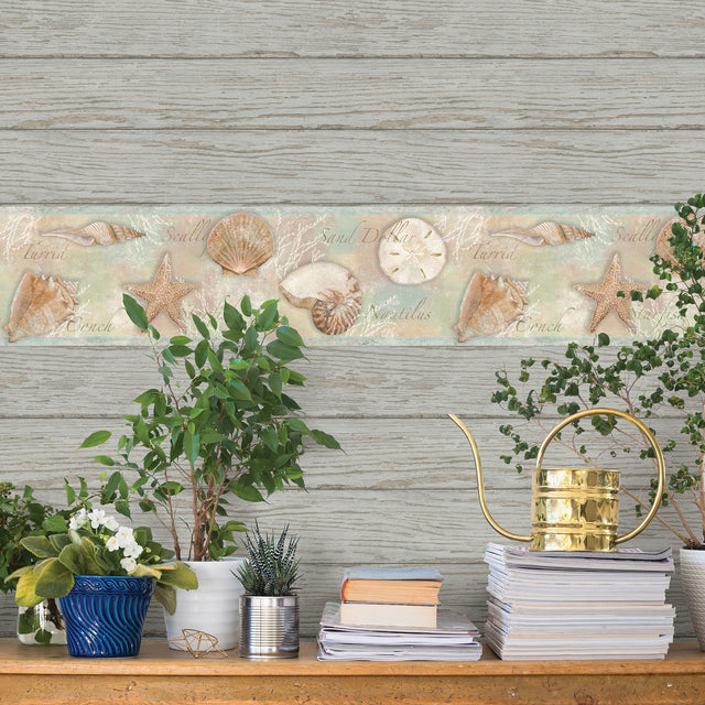 Quinten Brown Shells Coastal Wallpaper Border with Graphics Novelty Pattern - Chesapeake 3120-46051B
