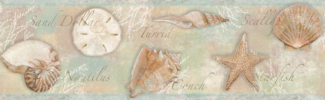 Quinten Brown Shells Coastal Wallpaper Border with Graphics Novelty Pattern - Chesapeake 3120-46051B