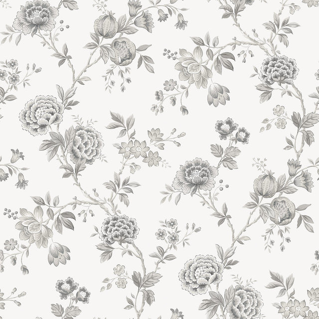 Chrysanthemum Grey Jacobean Wallpaper with Country Botanical Floral Pattern - Chesapeake 3123-02216