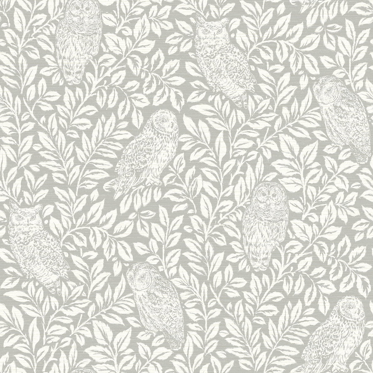 Parliament Grey Owl Wallpaper with White Woodland Owl and Leaf Motif - Chesapeake 3123-12411