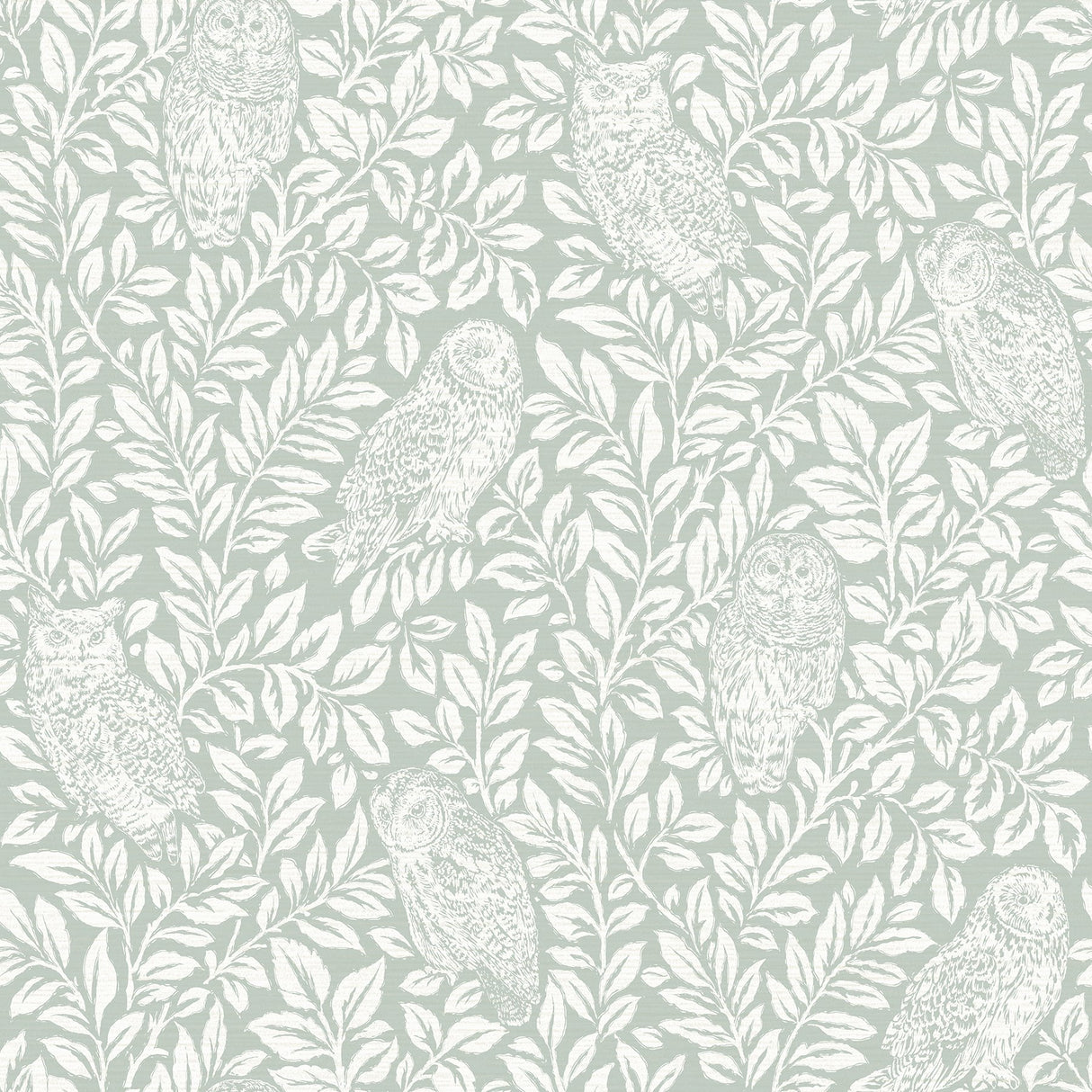 Parliament Seafoam Owl Wallpaper with Botanical Owl Pattern - Chesapeake 3123-12414