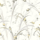 Meadowlark Yellow Botanical Wallpaper with Birds and Butterflies - Chesapeake 3123-193210