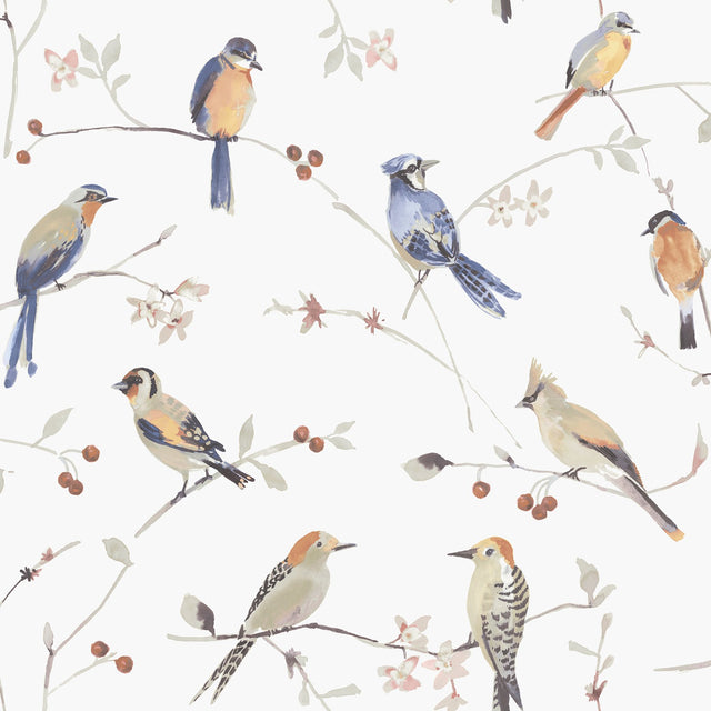 Birdsong Orange Trail Wallpaper with Watercolor Birds on Vines - Chesapeake 3124-13851