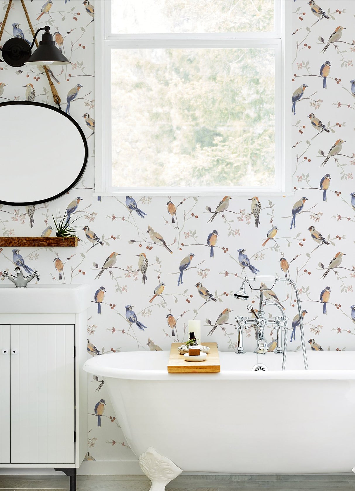 Birdsong Orange Trail Wallpaper with Watercolor Birds on Vines - Chesapeake 3124-13851
