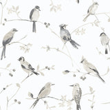 Birdsong Grey Trail Wallpaper with Watercolor Birds Botanical - Chesapeake 3124-13853