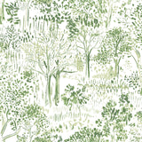 Walden Green Forest Wallpaper with Modern Botanical Trees Pattern - Chesapeake 3124-13891