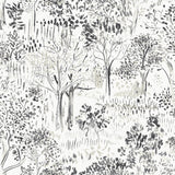 Walden Black Forest Wallpaper with Modern Botanical Trees Motif - Chesapeake 3124-13894