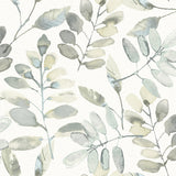 Pinnate Grey Leaves Wallpaper with Watercolor Botanical Motif - Chesapeake 3124-13905