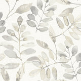Pinnate Taupe Leaves Wallpaper with Botanical Watercolor Motif - Chesapeake 3124-13907