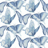Janetta Blue Butterfly Wallpaper with Watercolor Butterfly Motif - Chesapeake 3124-13932