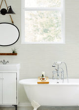 Agave Light Grey Faux Grasscloth Wallpaper with Textured Faux Grasscloth Pattern - Chesapeake 3124-24281