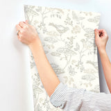 Malmo Grey Trail Wallpaper with Birds and Butterflies Pattern - Chesapeake 3125-72317