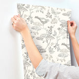 Malmo Black Trail Wallpaper with Birds and Butterfly Farmhouse Pattern - Chesapeake 3125-72319