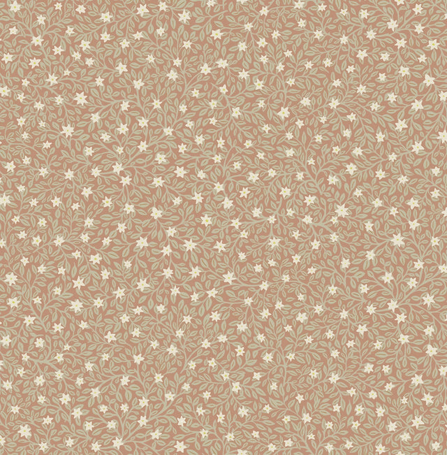 Marguerite Rose Floral Wallpaper