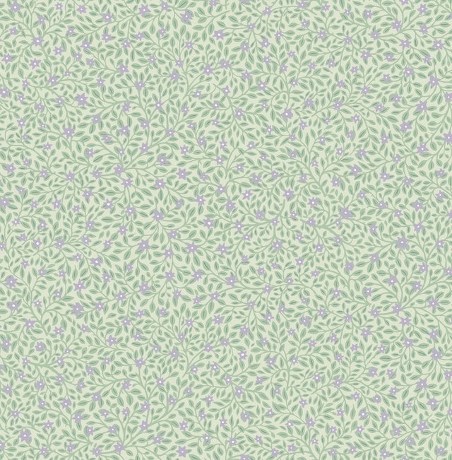 Marguerite Periwinkle Floral Wallpaper