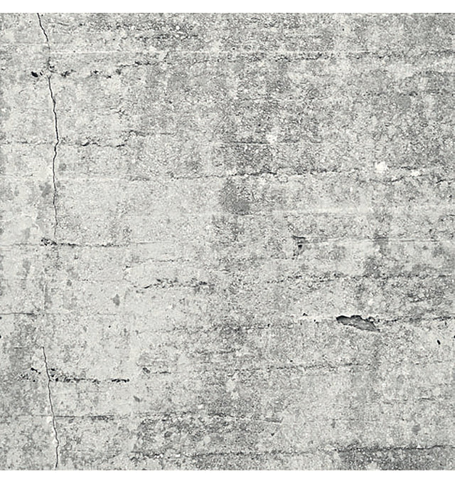 Absolute Concrete Light Grey Graphic Wall Mural