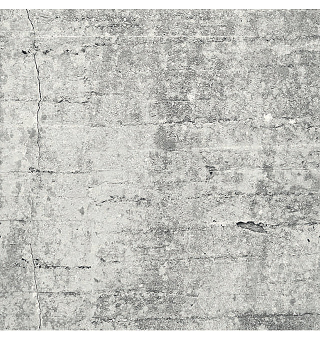 Absolute Concrete Light Grey Graphic Wall Mural