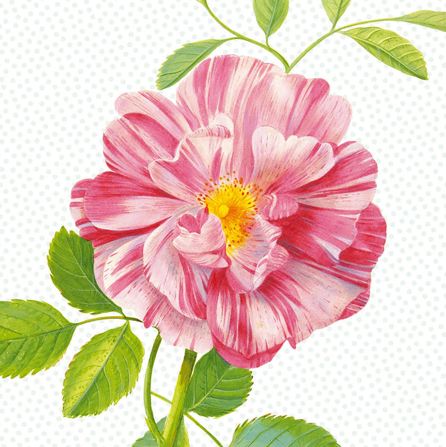 Peony Pink Polka Dot Floral Wall Mural - Eijffinger EJ359158