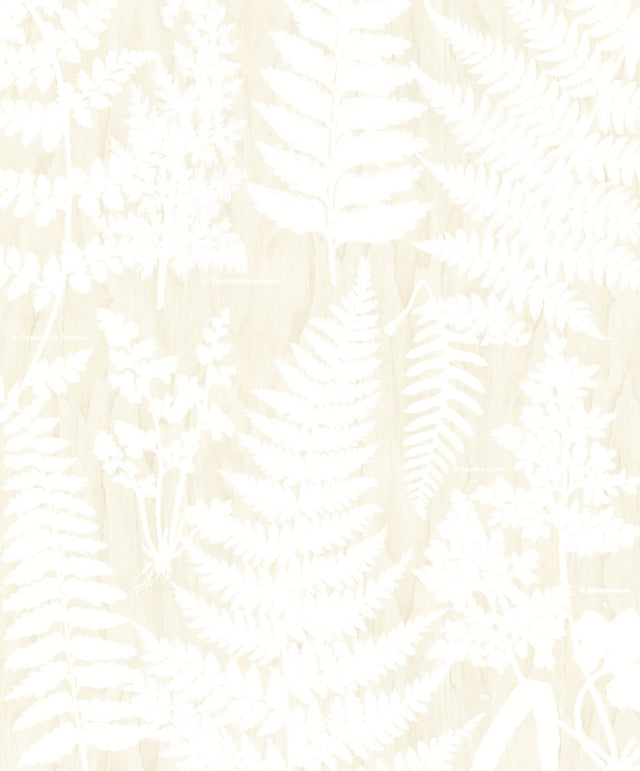 Herbarium White Wall Mural