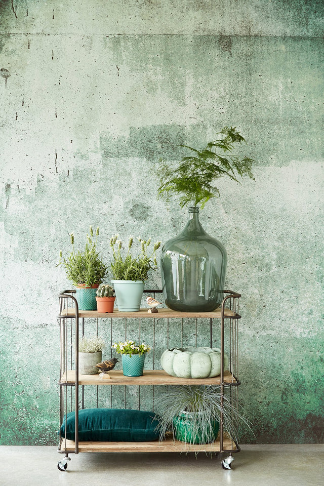 Green Weathered Wall Mural