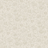 Gabriella Stone floral wallpaper by Boråstapeter for Schumacher, featuring a dense allover pattern of flowers and foliage in a neutral stone colorway.