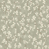 Alice Sage by Boråstapeter delicate apple blossom floral wallpaper on a soft sage green background, shown in close-up and as a roll.