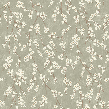 Alice Sage by Boråstapeter delicate apple blossom floral wallpaper on a soft sage green background, shown in close-up and as a roll.