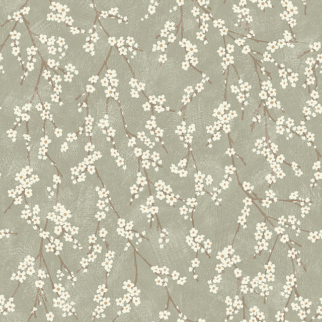 Alice Sage by Boråstapeter delicate apple blossom floral wallpaper on a soft sage green background, shown in close-up and as a roll.