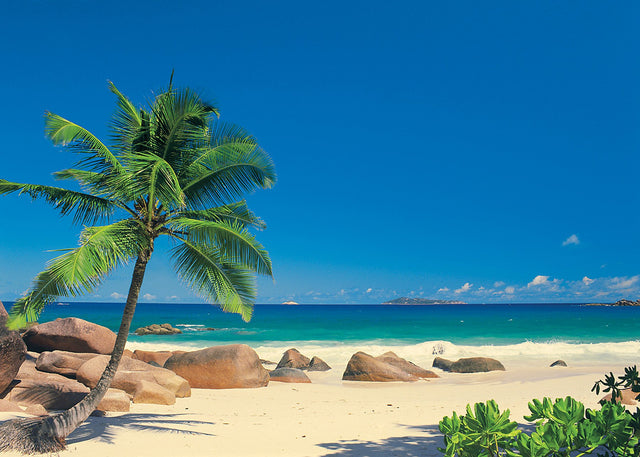 Seychellen Scenic Beach Blue Wall Mural - Komar 4-006