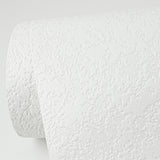 Dunlap White Sponge Paintable Wallpaper with Texture Pattern - Brewster 4000-96292