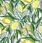 Meyer Yellow Citrus Wallpaper with Bohemian Botanical Motif - A-Street Prints 4014-26420