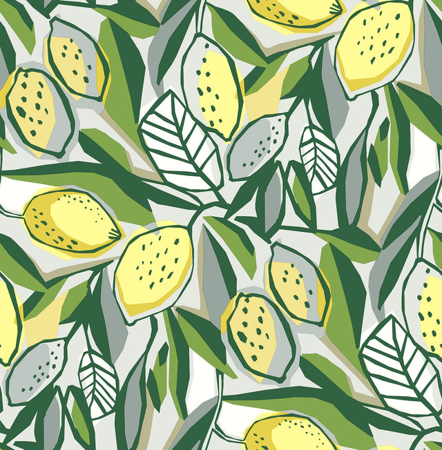 Meyer Yellow Citrus Wallpaper with Bohemian Botanical Motif - A-Street Prints 4014-26420