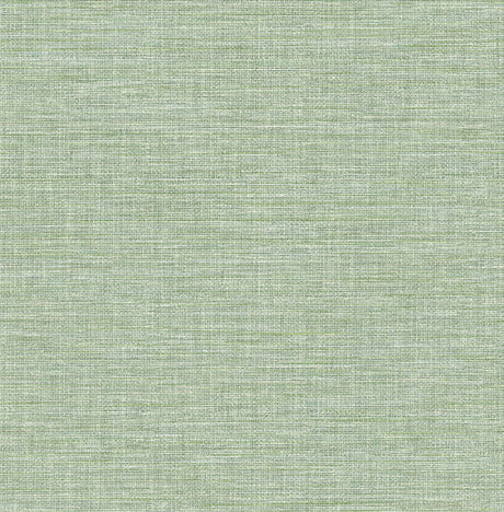 Exhale Light Green Texture Wallpaper by A-Street Prints FD26457