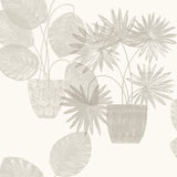 Aida Light Grey Potted Plant Wallpaper with Botanical Bohemian Motif - Brewster 4014-87555
