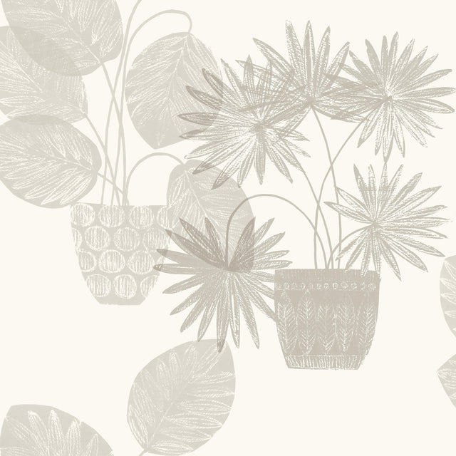 Aida Light Grey Potted Plant Wallpaper with Botanical Bohemian Motif - Brewster 4014-87555